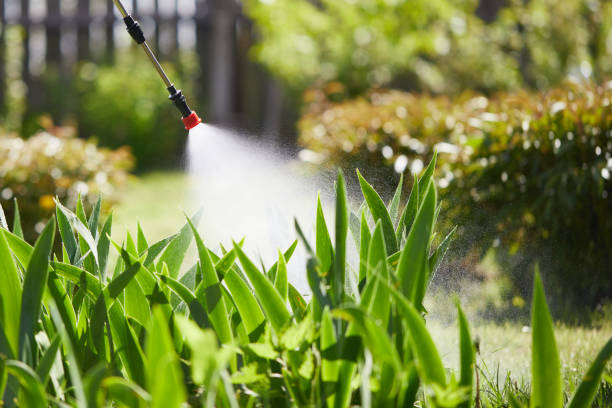 Tamper-Resistant Bait Stations for Rodents in Buckhorn