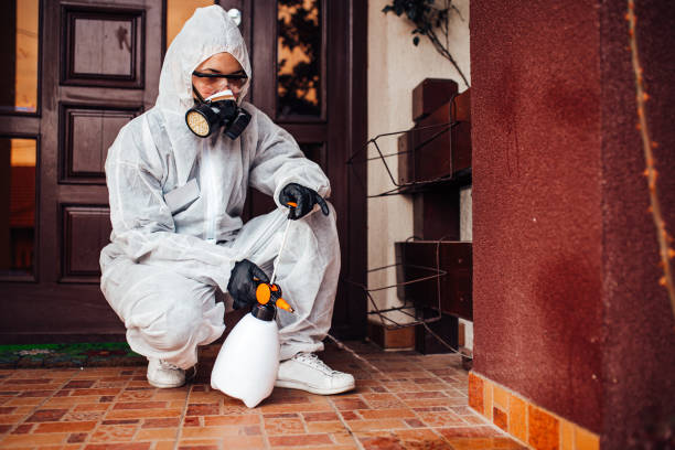 Attic and Crawl Space Rodent Treatment in Buckhorn